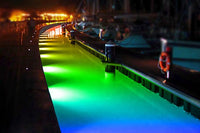 Neptune underwater dock lighting system