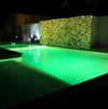 Beta Spa Retrofit System (spa or pool LED fixture)