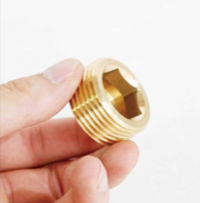 1/2" NPT plug (one)